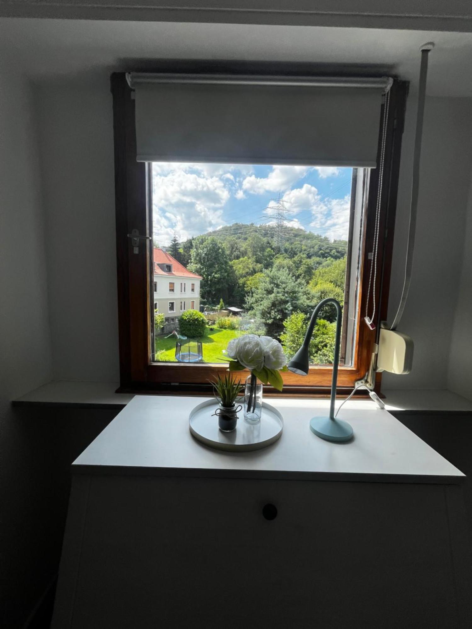 Апартаменты Idyllisch Wohnen An Der Ruhr Хаттинген Экстерьер фото